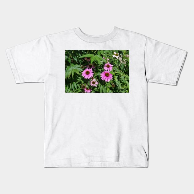 Echinacea Garden Kids T-Shirt by srosu